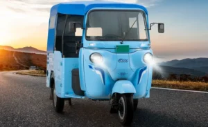 India EV Market King
